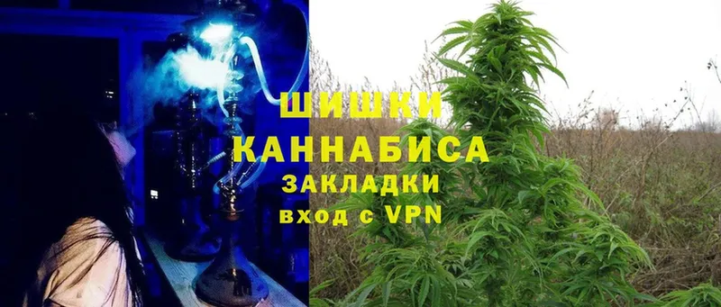 Конопля Bruce Banner  Магадан 